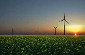 wind turbines